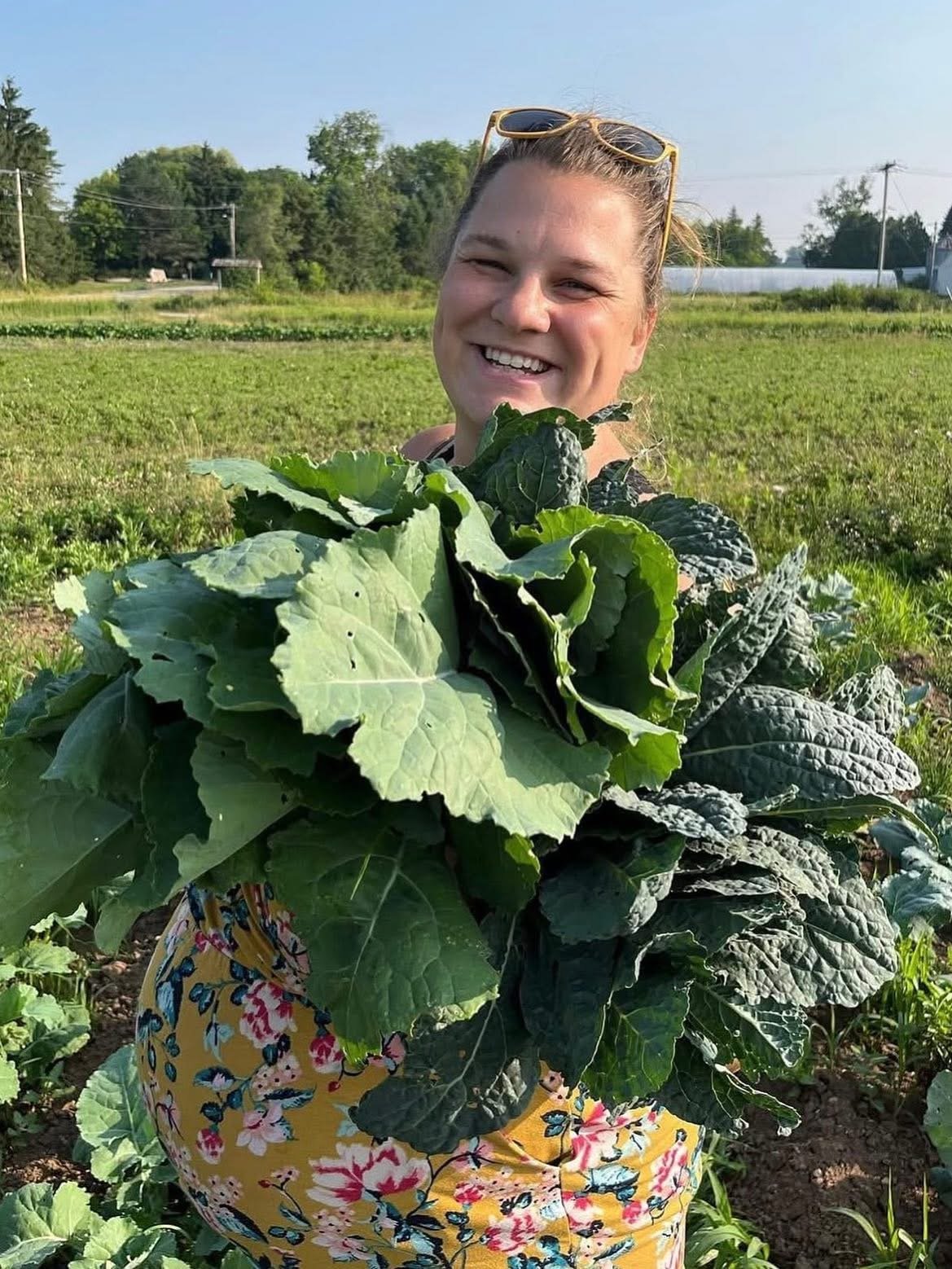 A Wisconsin Farm Story Comes Full Circle