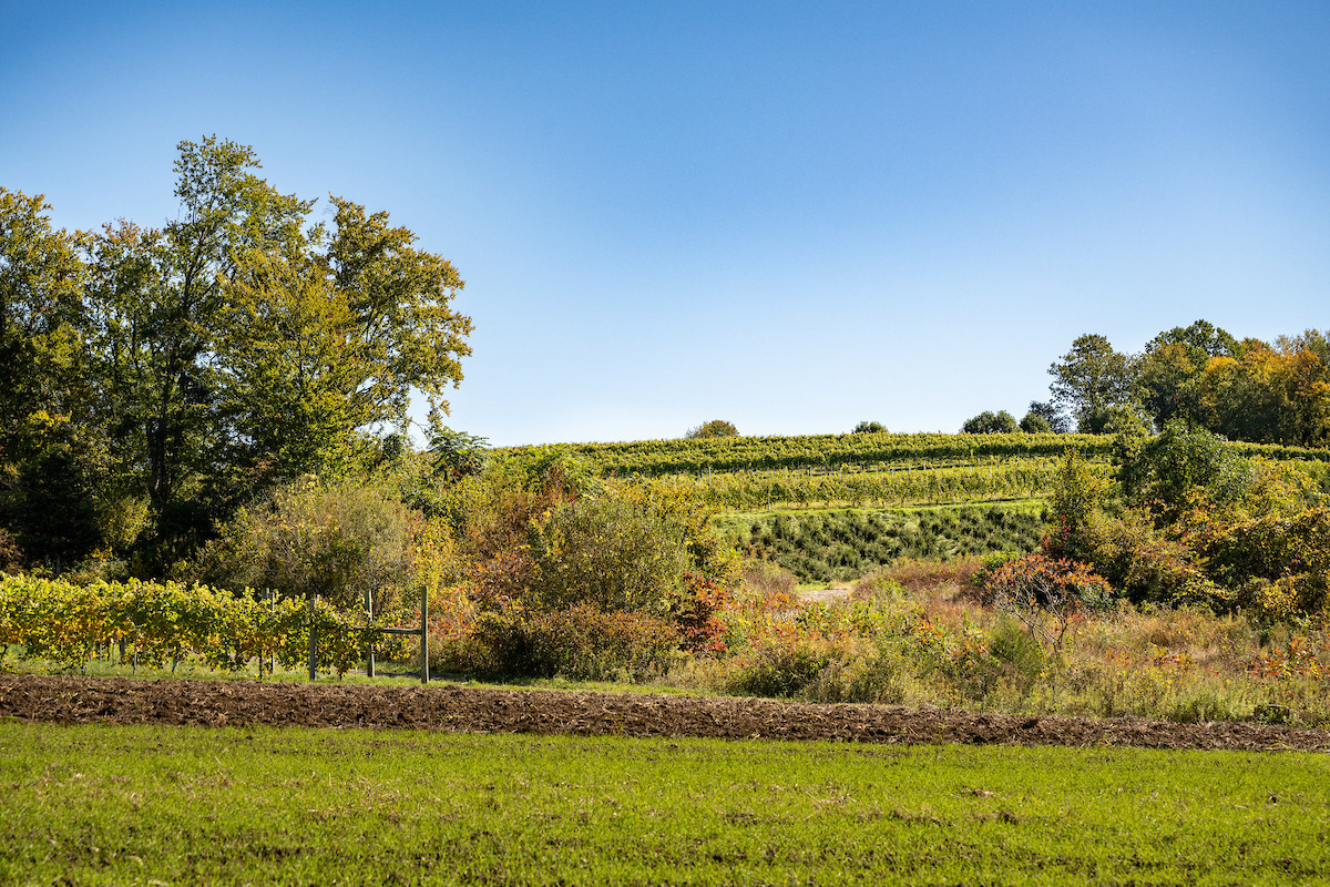 What can self-care look like in the field?
