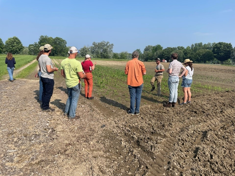 How Bardwell Farm is Experimenting with Tillage to Adapt and Advance Soil Health