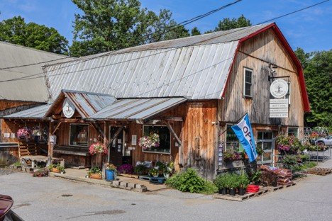 Bear Roots Farm: Building Resilience Through Diversification in Central Vermont