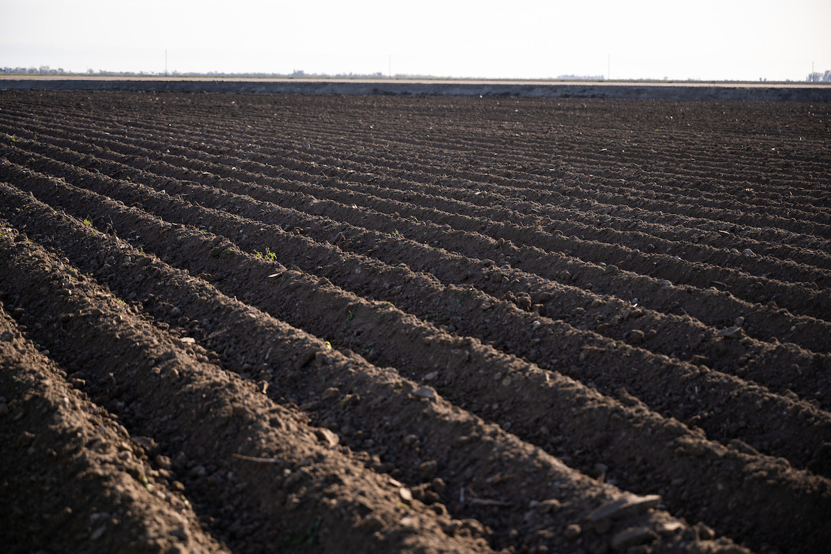 How Healthy Food Starts with Healthy Soil