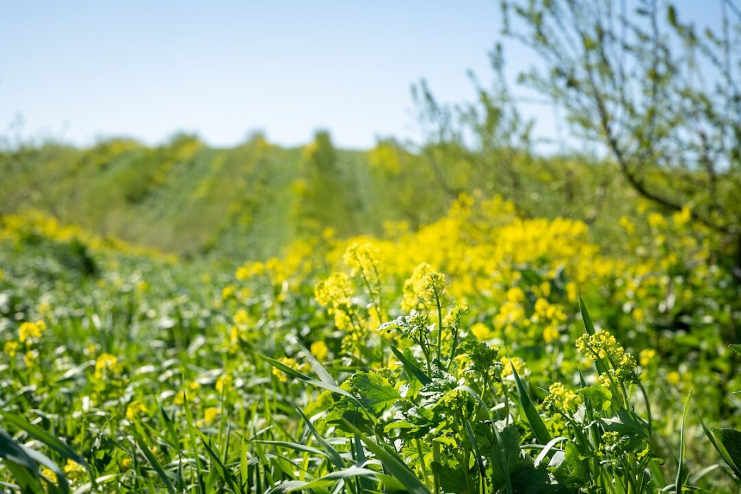 To Thrive, Farmers Need Conservation To Improve Their Bottom Line
