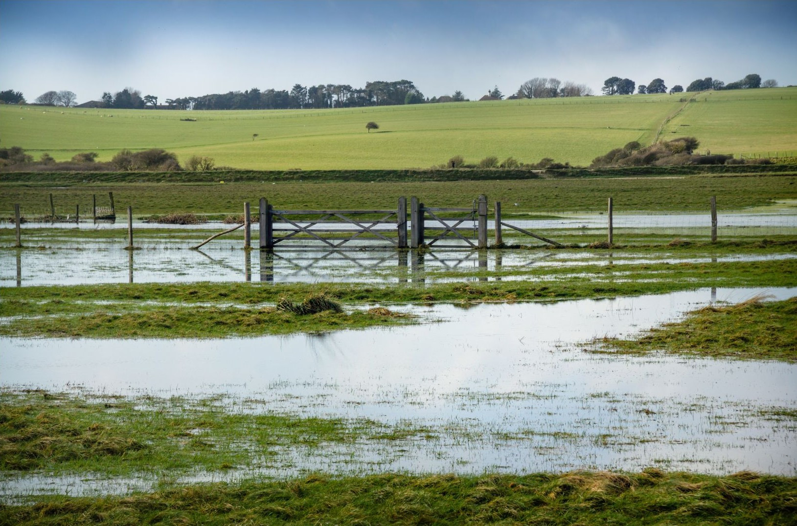 Post-disaster Tax Strategies for Farmers and Ranchers (Pacific Northwest)