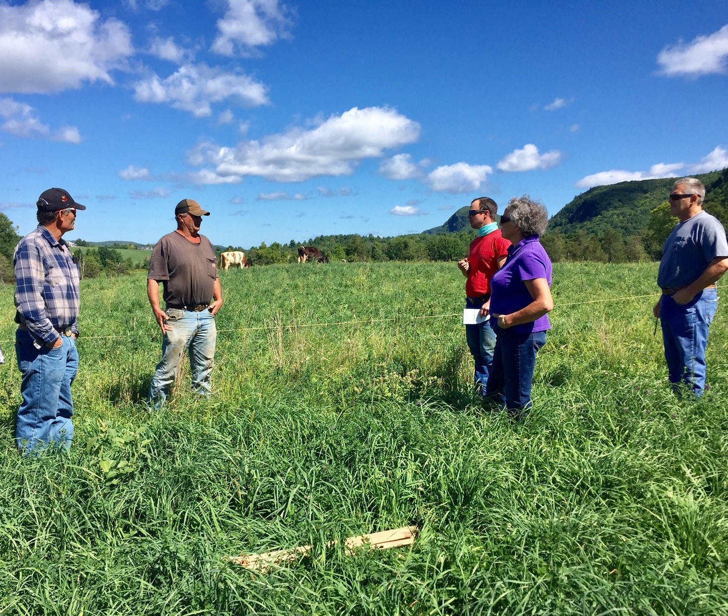 Five Years, One Farmer-Led Cohort: What Vermont Dairy Farmers Learned by Working Together