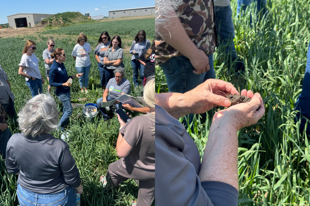 Newly Released: Soil Health & Regenerative Agriculture Curriculum for High Schools
