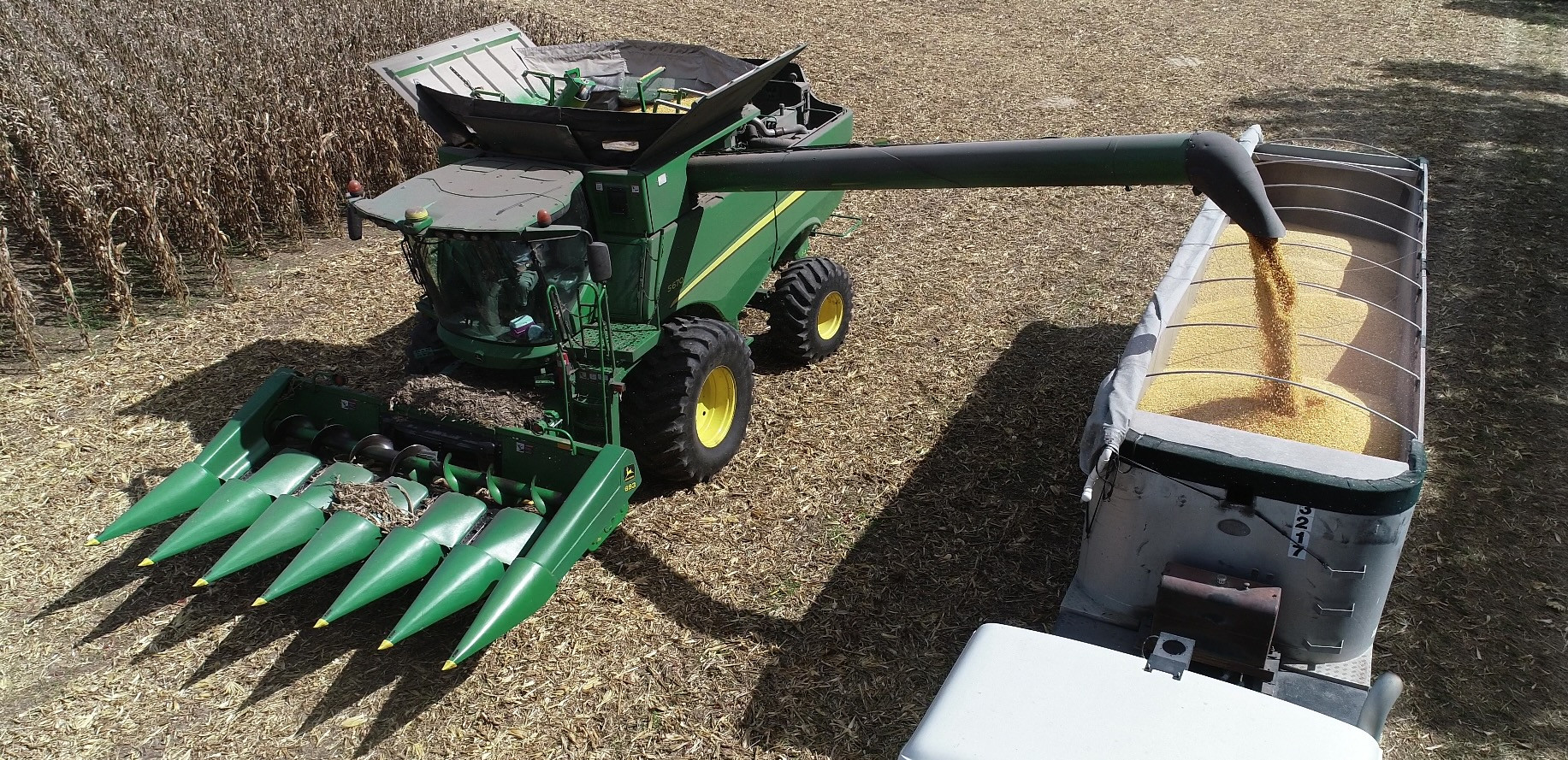 Growing Fertilizer in the Heart of Virginia: One Farmer's Story of Resilience