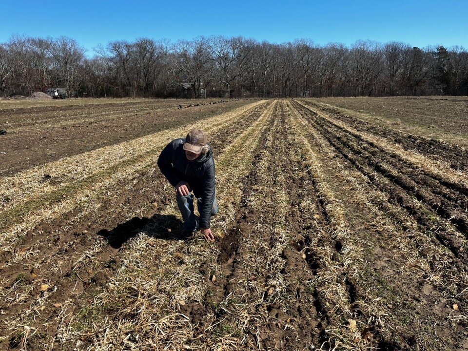 Tillage Reduction, Biochar and Living Clover: AFT Partners with Island Grown Initiative to Explore and Advance Soil Health Practices