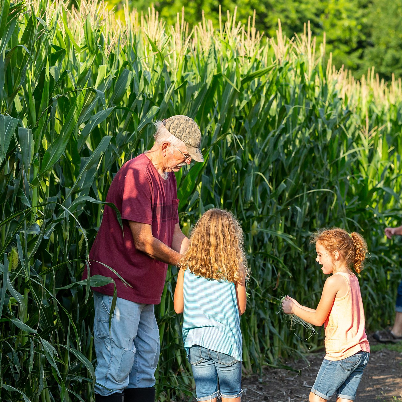 Broad Set of Agricultural Stakeholders Unite on Federal Roadmap to Protect Farmers from PFAS