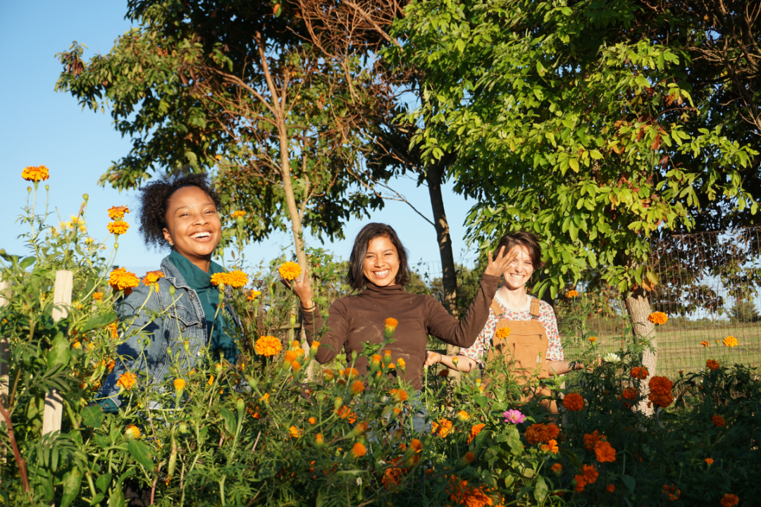Airbnb Announces ‘Farm to Stay’ Grant Program to Promote Farmer-Led Tourism