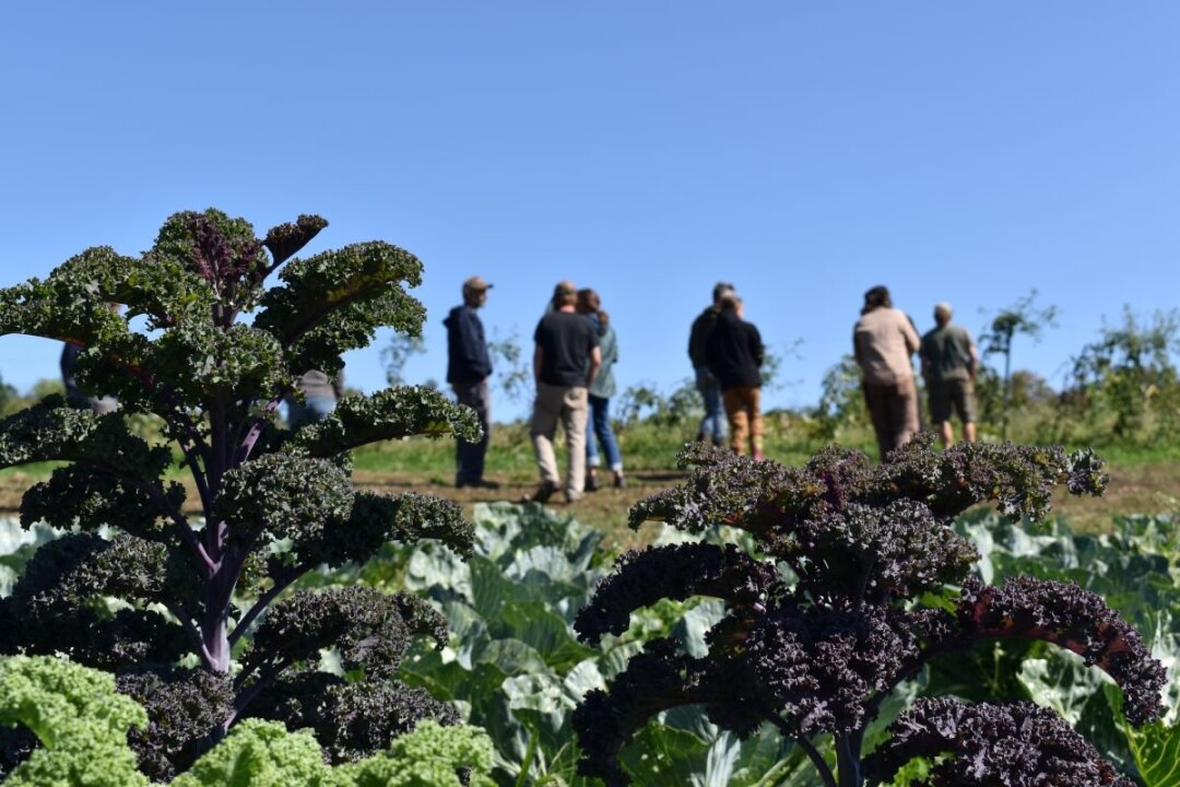 Fall 2026: Ohio Farm Transition Network One Day Trainings for Professionals