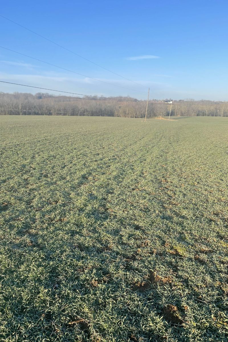Meeting Farmers in the Field: Scouting for the Kentucky Rye Project