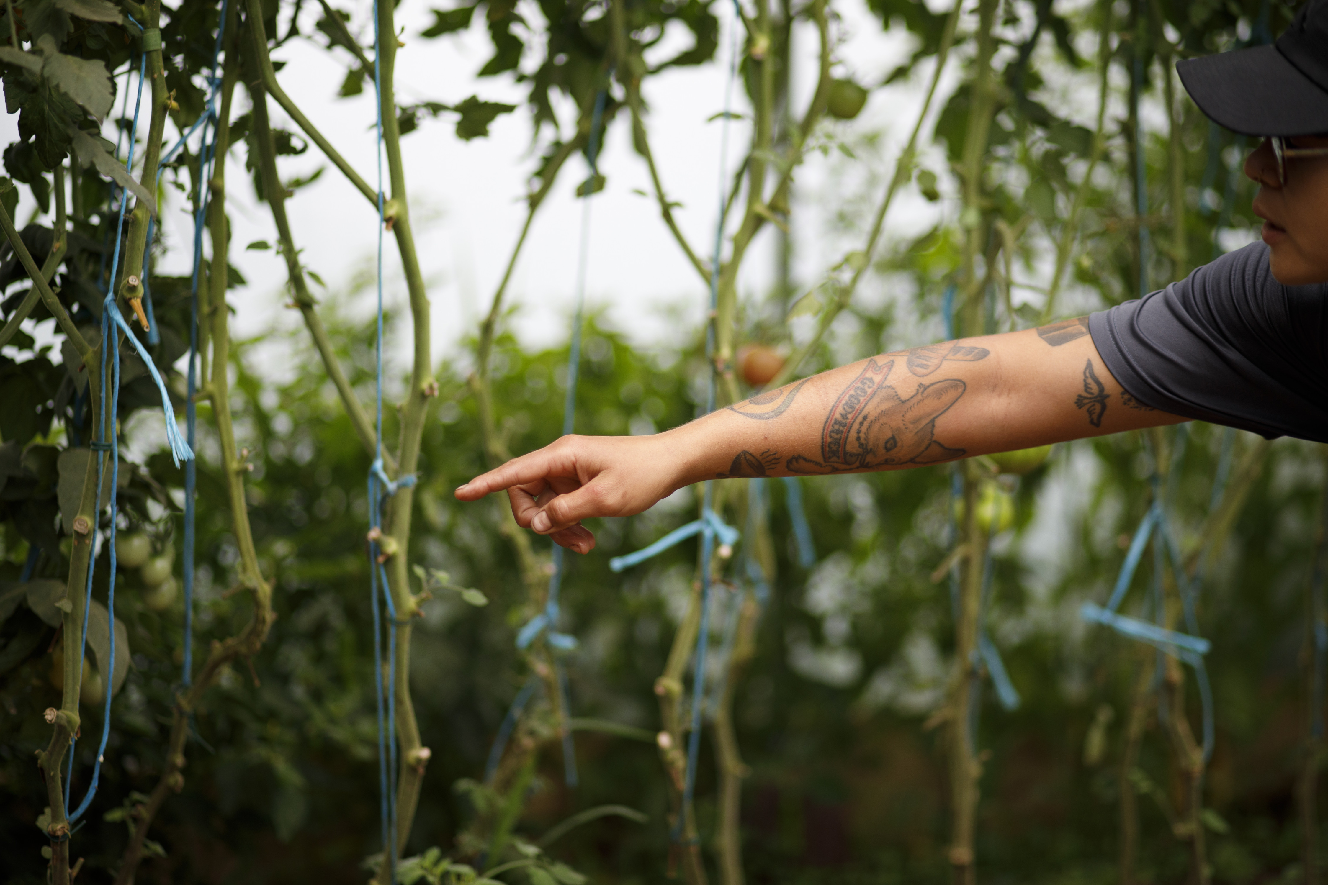 Introducing American Farmland Trust’s New York Farmland Access Fund