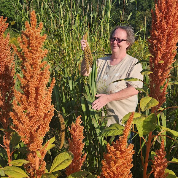 Great Lakes Staple Seeds