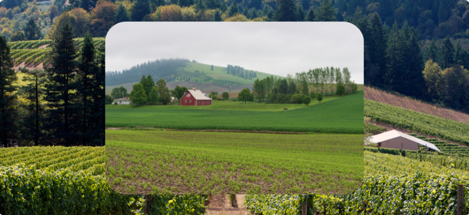 Growing with Biochar: A Training Event for Oregon and the Pacific Northwest (Corvallis, OR)