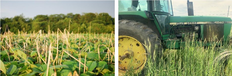 What’s the (real) rate of soil health practice adoption?