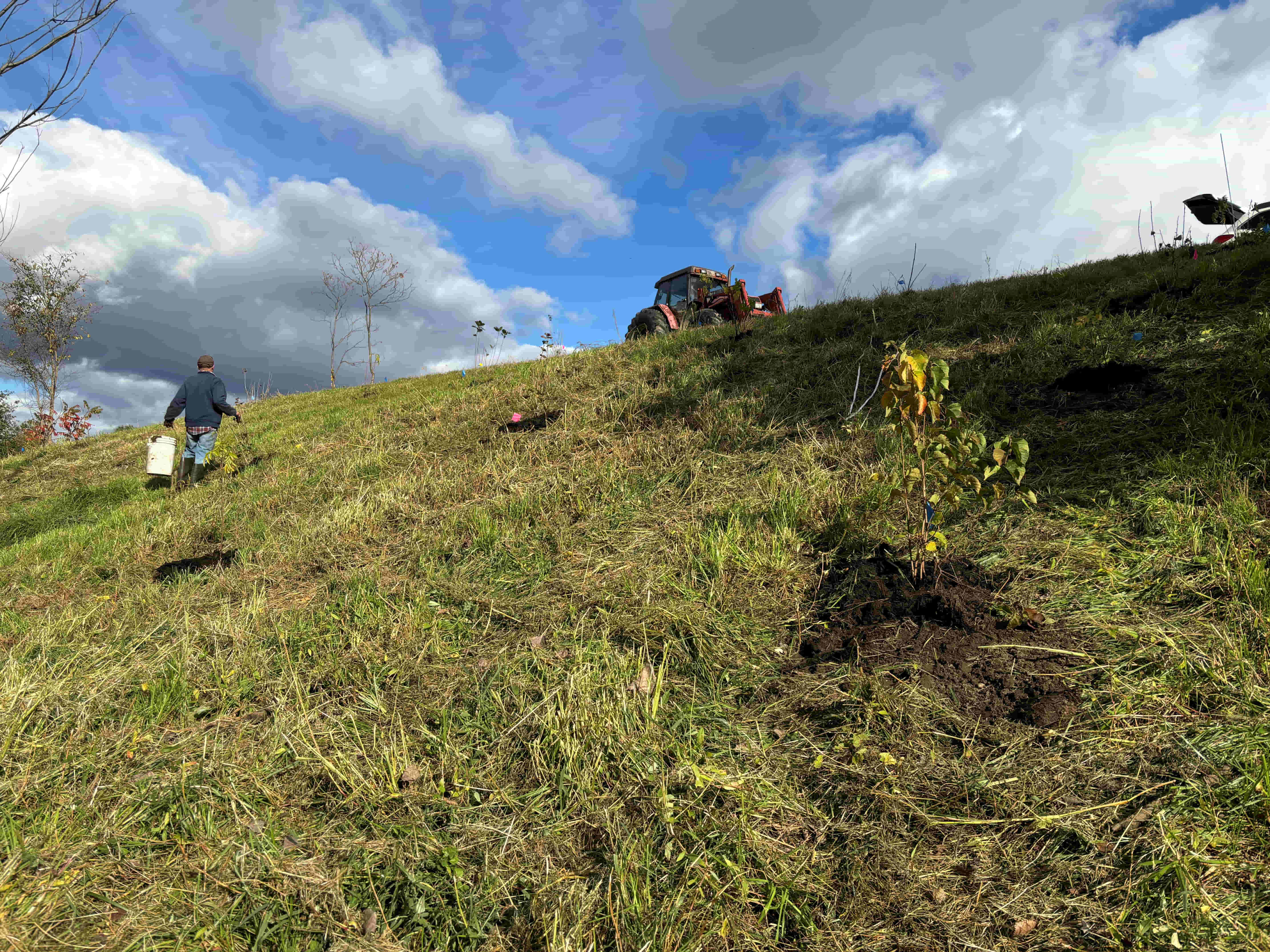 Breathing Life Back into a Hedgerow: Brookfield Farm’s Regenerative Microgrant Journey
