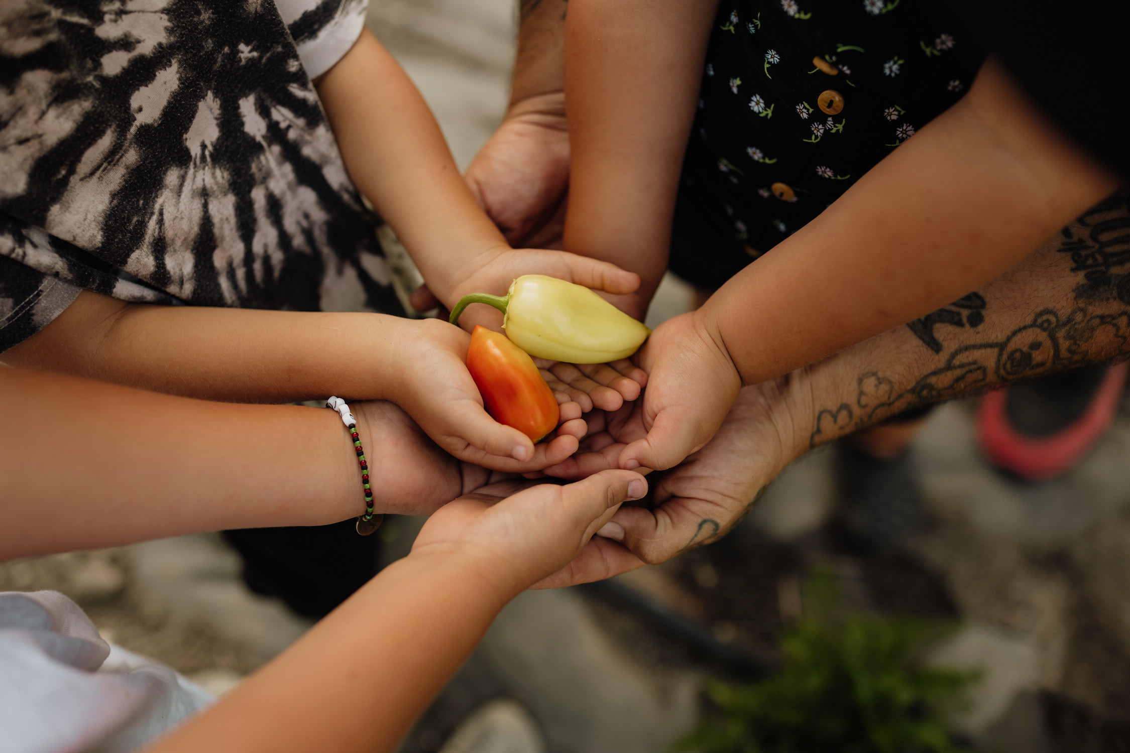Women of the Hoopa Valley Tribal Community: Land, Food, Future.