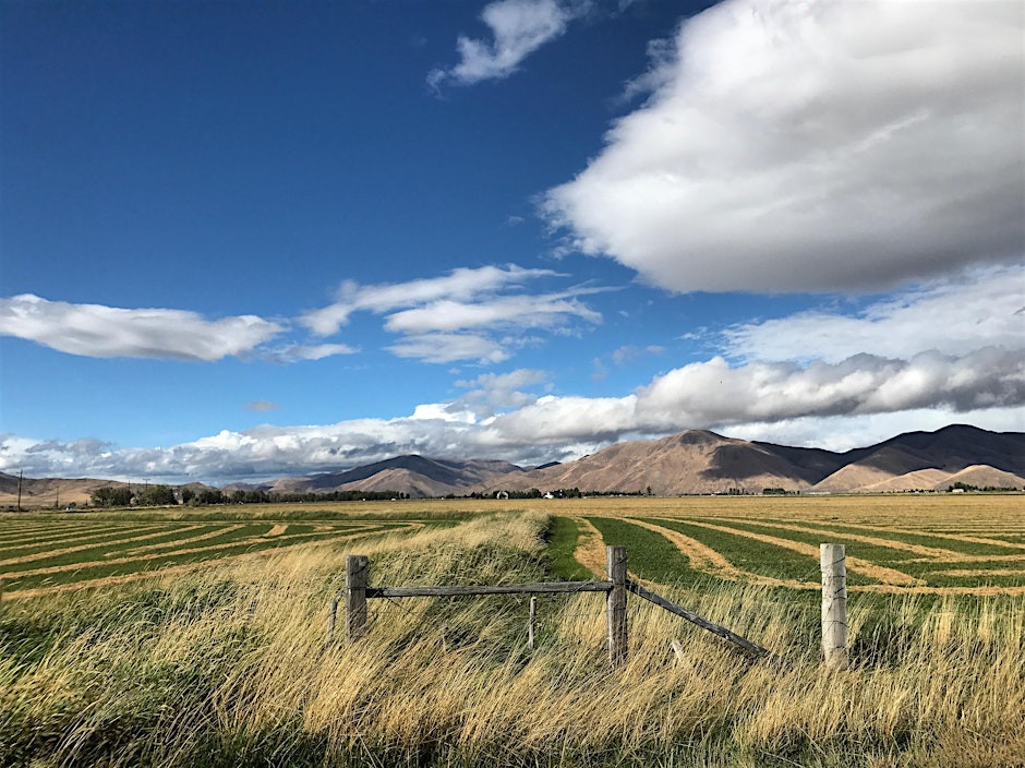 Governor's Summit on Agricultural Viability in Idaho