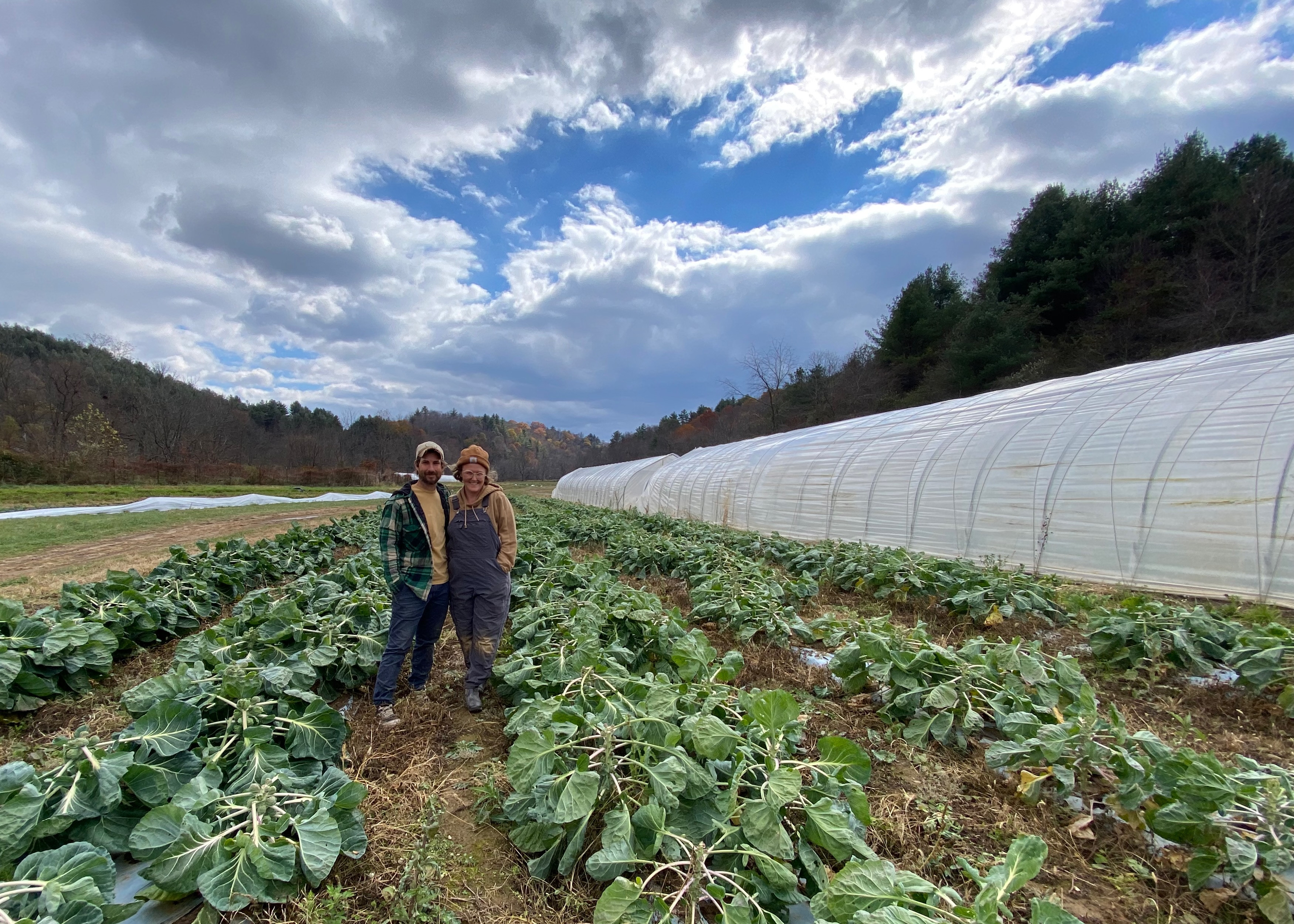 Man and woman couple stand in a field of brussels sprouts, blue sky and clouds overhead.