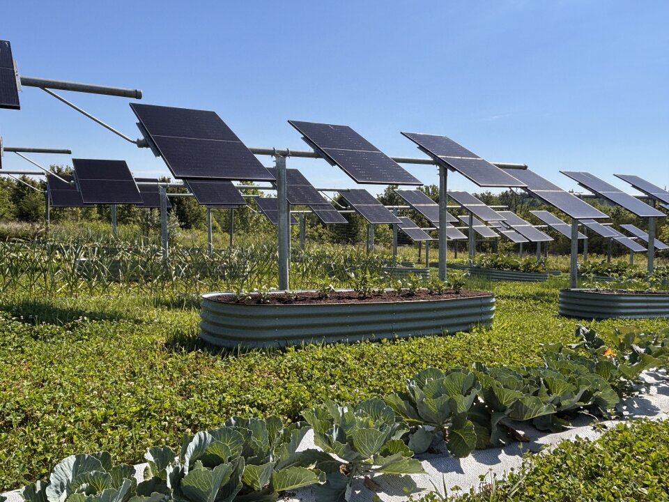 Virginia Advances Agrivoltaics: What the New Law Means for Solar, Farmland and Farmers