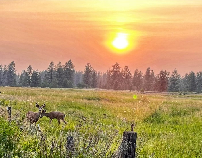 Fire Preparedness for Farmers and Ranchers (Cheney, WA)