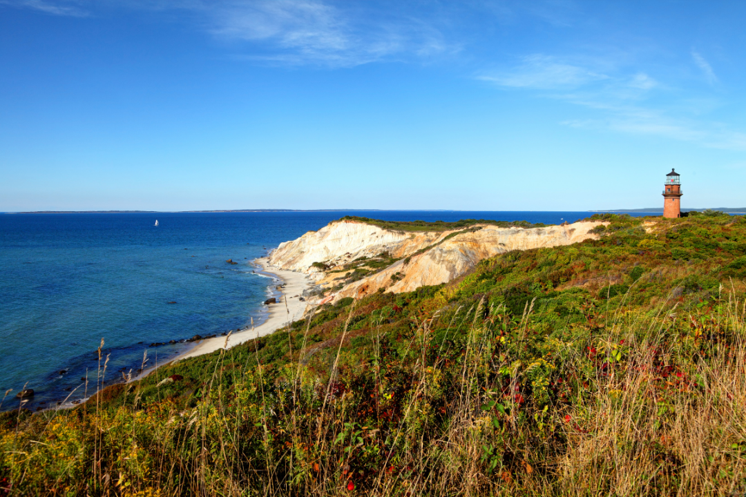 Martha's Vineyard Reception and Field Walk Events