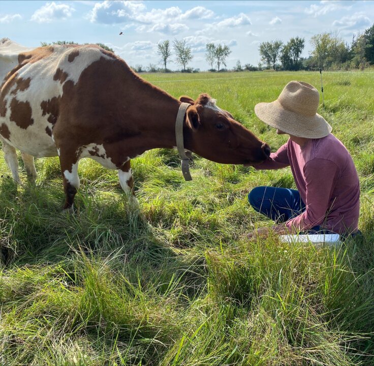 Helping New England Livestock Farmers to Thrive