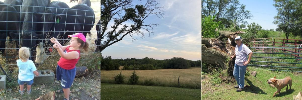 Returning to the Midwest, Finding Common Ground in Illinois State Policy