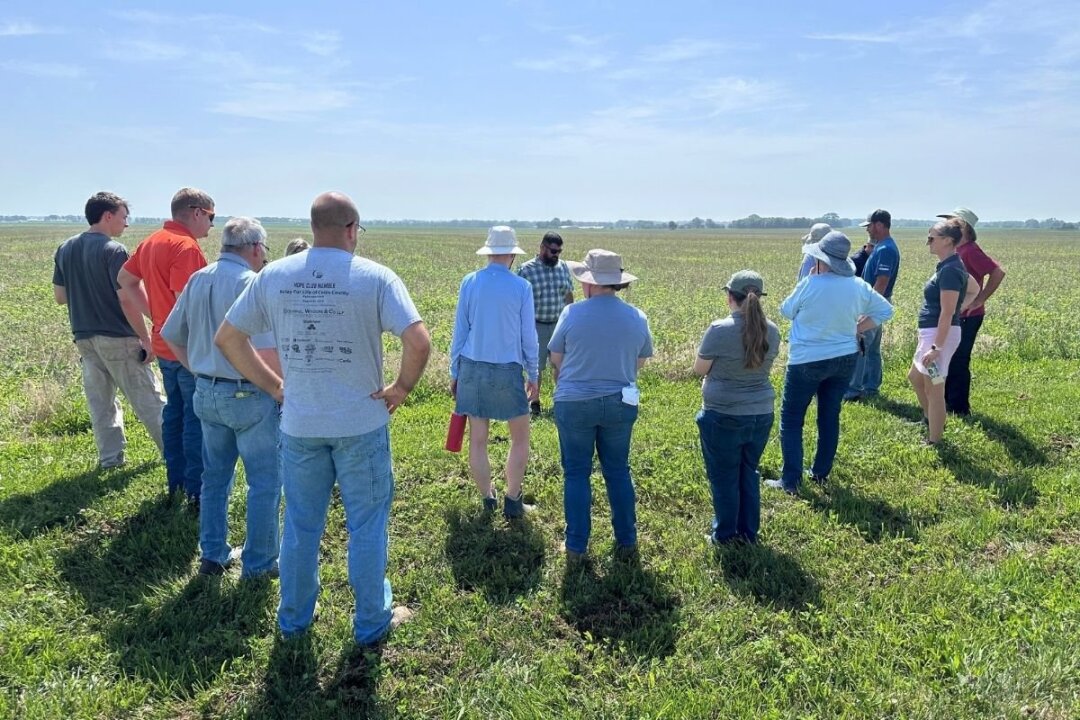 Stronger Together: FLASH Groups Streamline Cover Crop Adoption with Batch & Grow