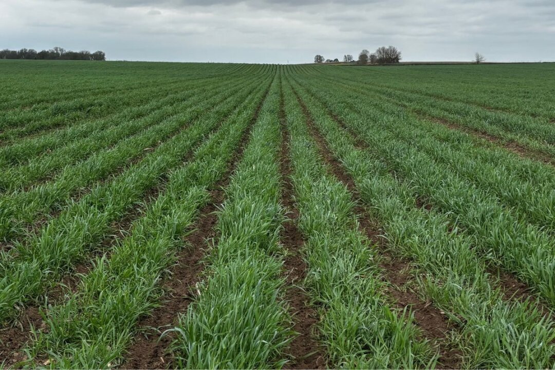 Creating a Good Lease, Lease Rates, and Soil Testing for Soil Health