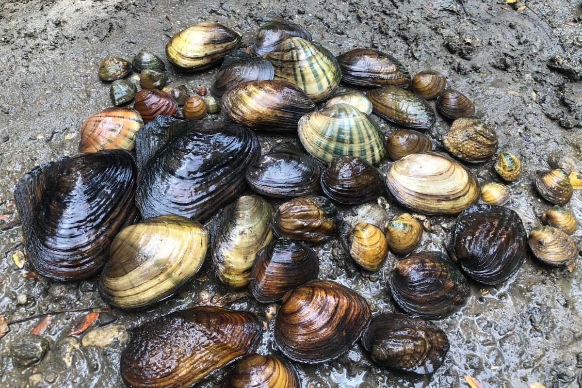 Big Lessons in Appreciating the Midwest's Little Details