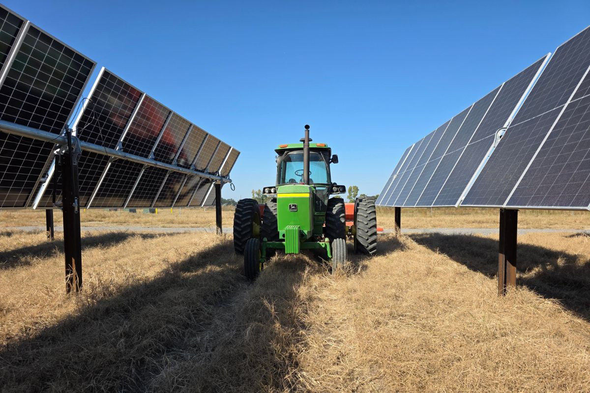 Moving Agrivoltaics Forward in the Midwest