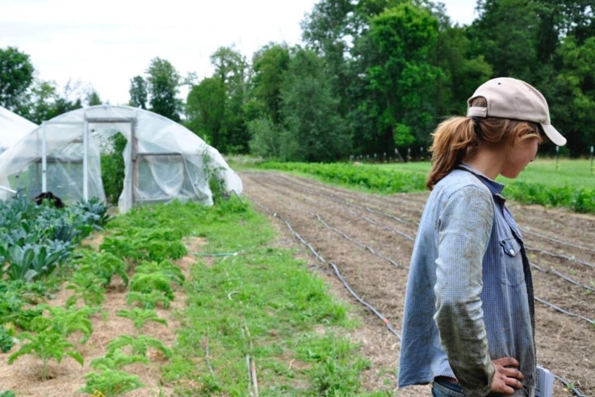 Growing Resilience: Crop Insurance 101 Webinar, Session One