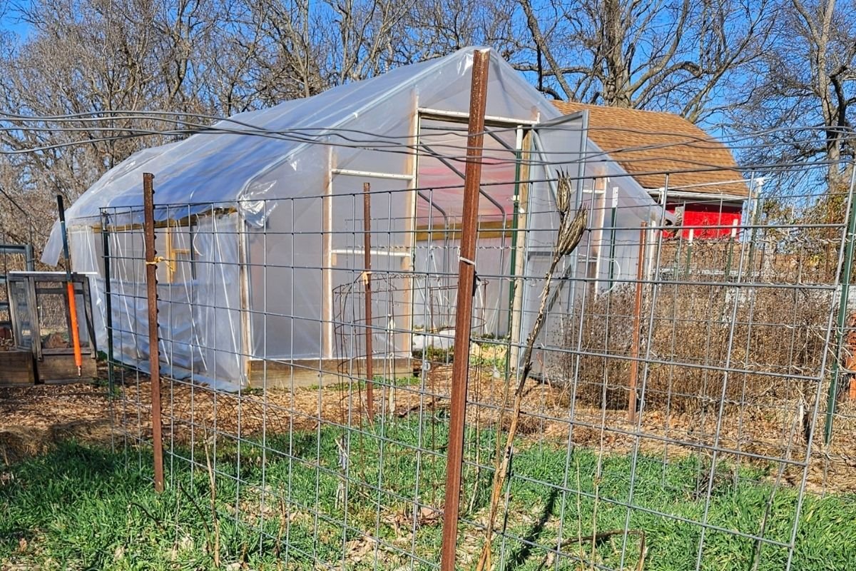 Homestead & Small Scale Field Days (Warrensburg, MO)