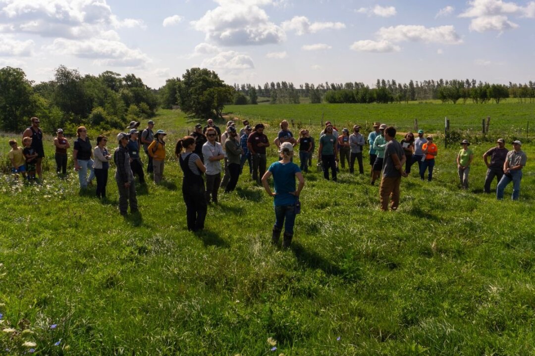 Dig Into Soil Health Field Days (West Salem, WI)
