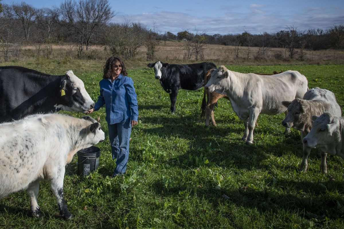 Climate Resilience Learning Circle for Women & Non-binary Farmers & Landowners (Pecatonica, IL)