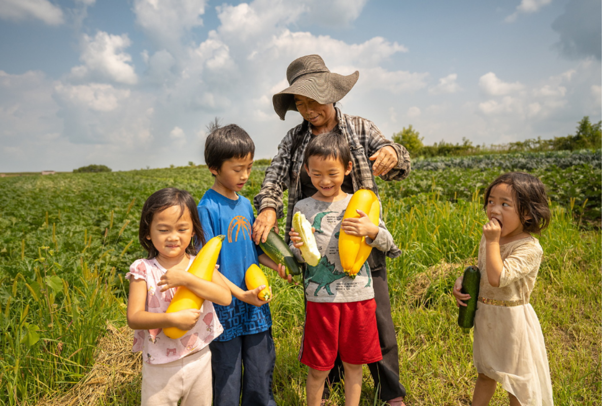 Midwest Easement Series: Easement Outcomes: Farmland Protection for the Future (Webinar)