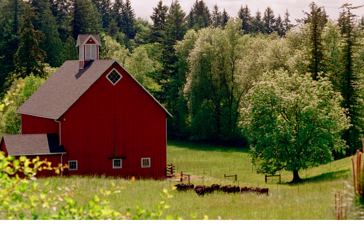 Midwest Easement Series: Developing Purchase of Development Rights Programs (Webinar)