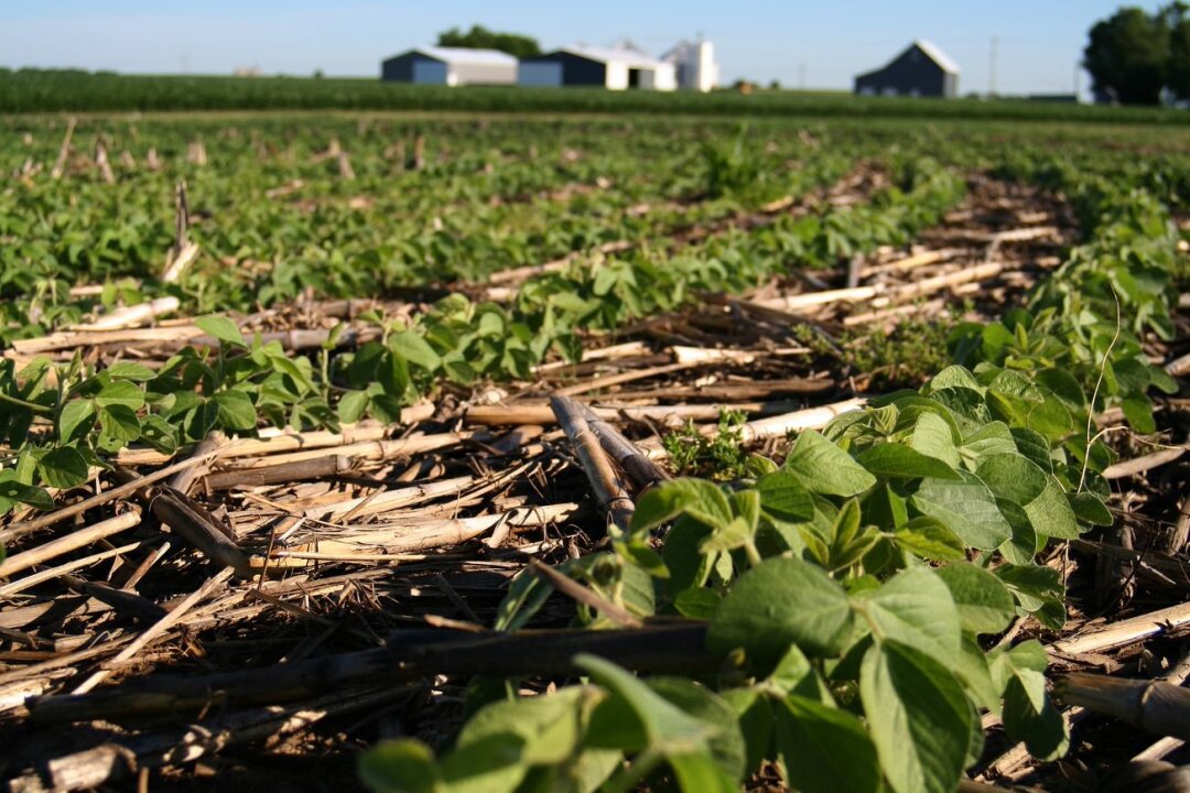 From Farm to Faucet Field Day (Mattoon, IL)