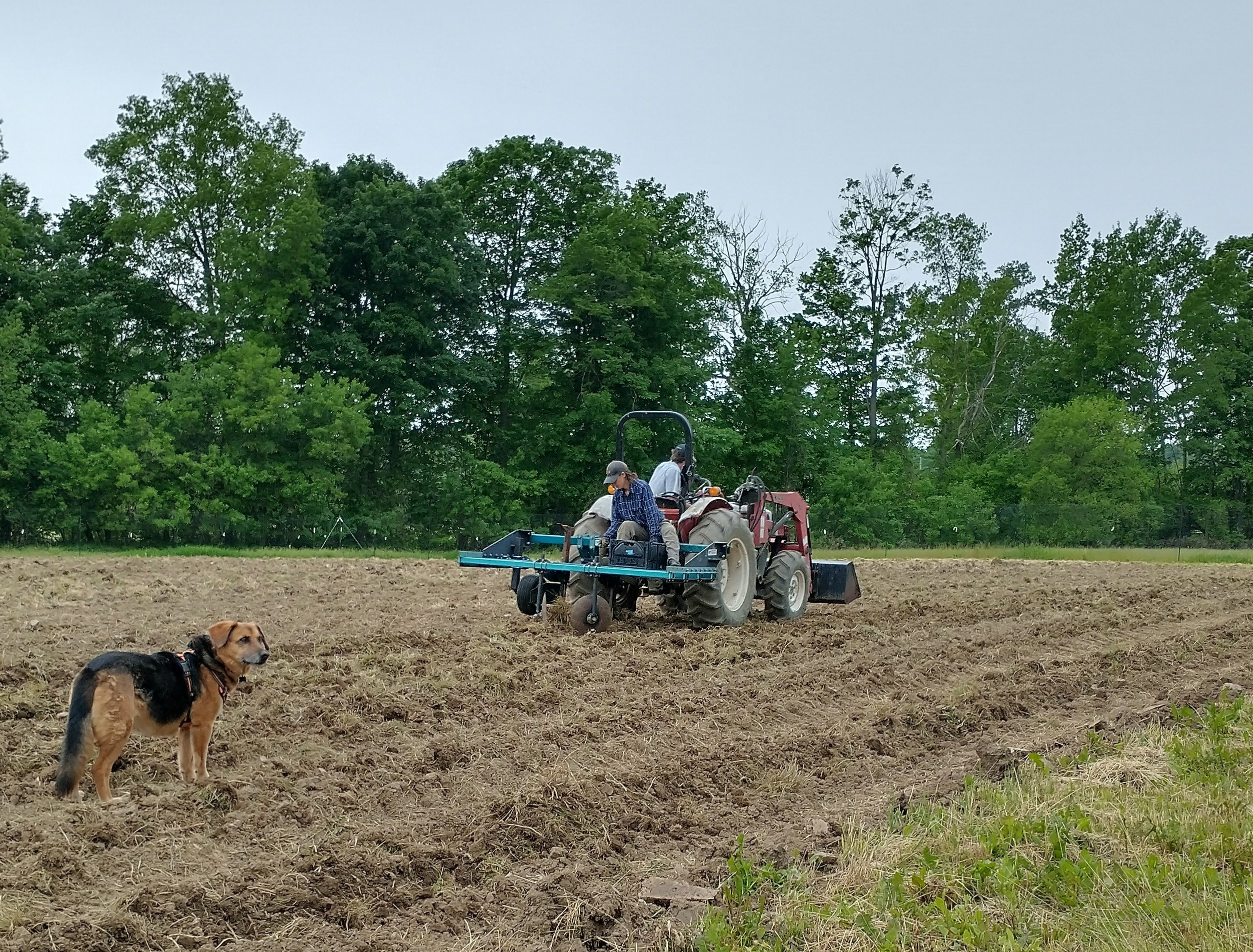 Soil Health and Reduced Tillage Field Walk | LeRoy, New York