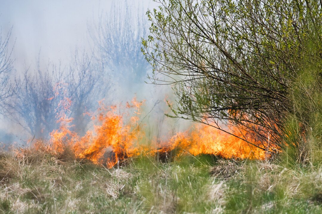 Fire Resilience: Prescribed Burning and Grazing (Cheney, WA)