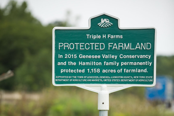 New York Gov. Hochul’s Proposed Budget Addresses AFT Priorities for Protecting Farmland, Strengthening Farm to School, and Investing in Climate Resilient Agriculture