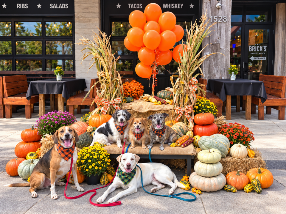American Farmland Trust Announces Winners of the 18th Annual America’s Farmers Market Celebration™
