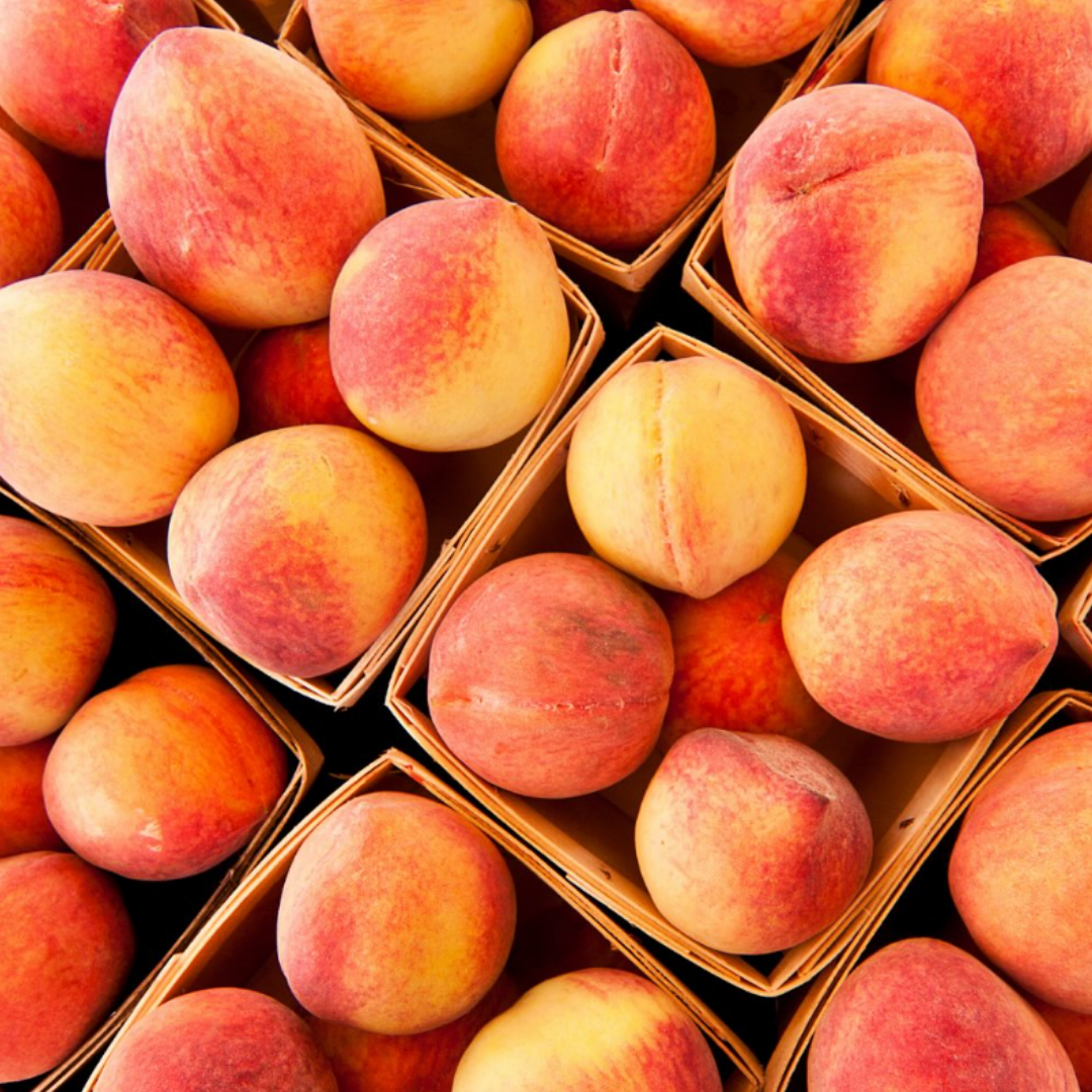 Rooted in Resilience: Learning Circle for Farmers and Landowners  (Wonder Lake, IL)