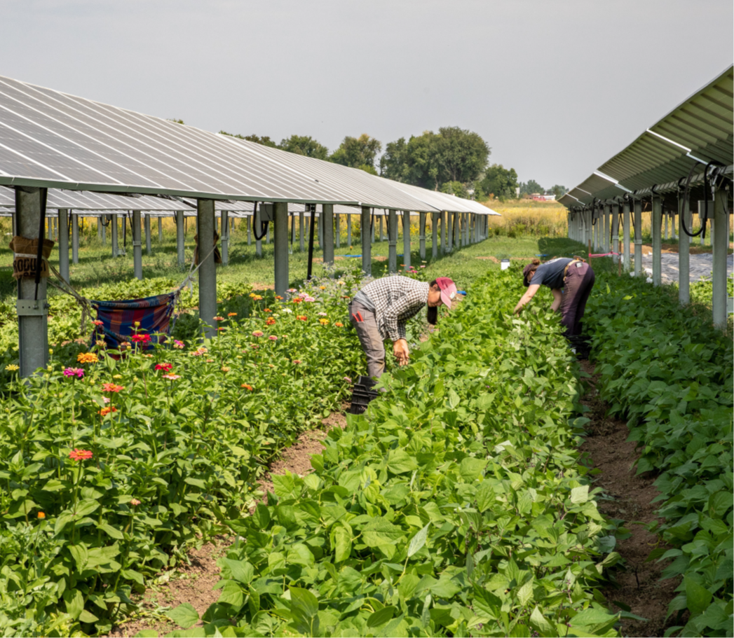 Balancing Energy and Agriculture in Texas