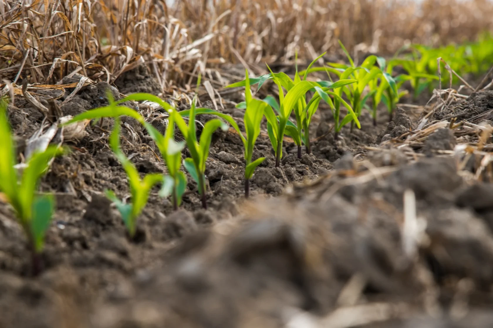 Soil & Water Conservation Society 2026 Annual Conference