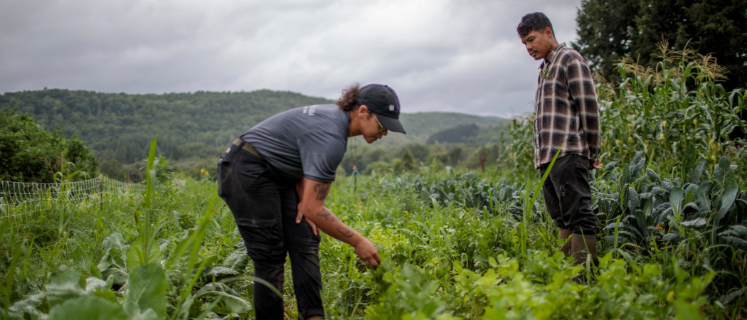 How Collaborative Land Access Can Expand Opportunities for Beginning Farmers