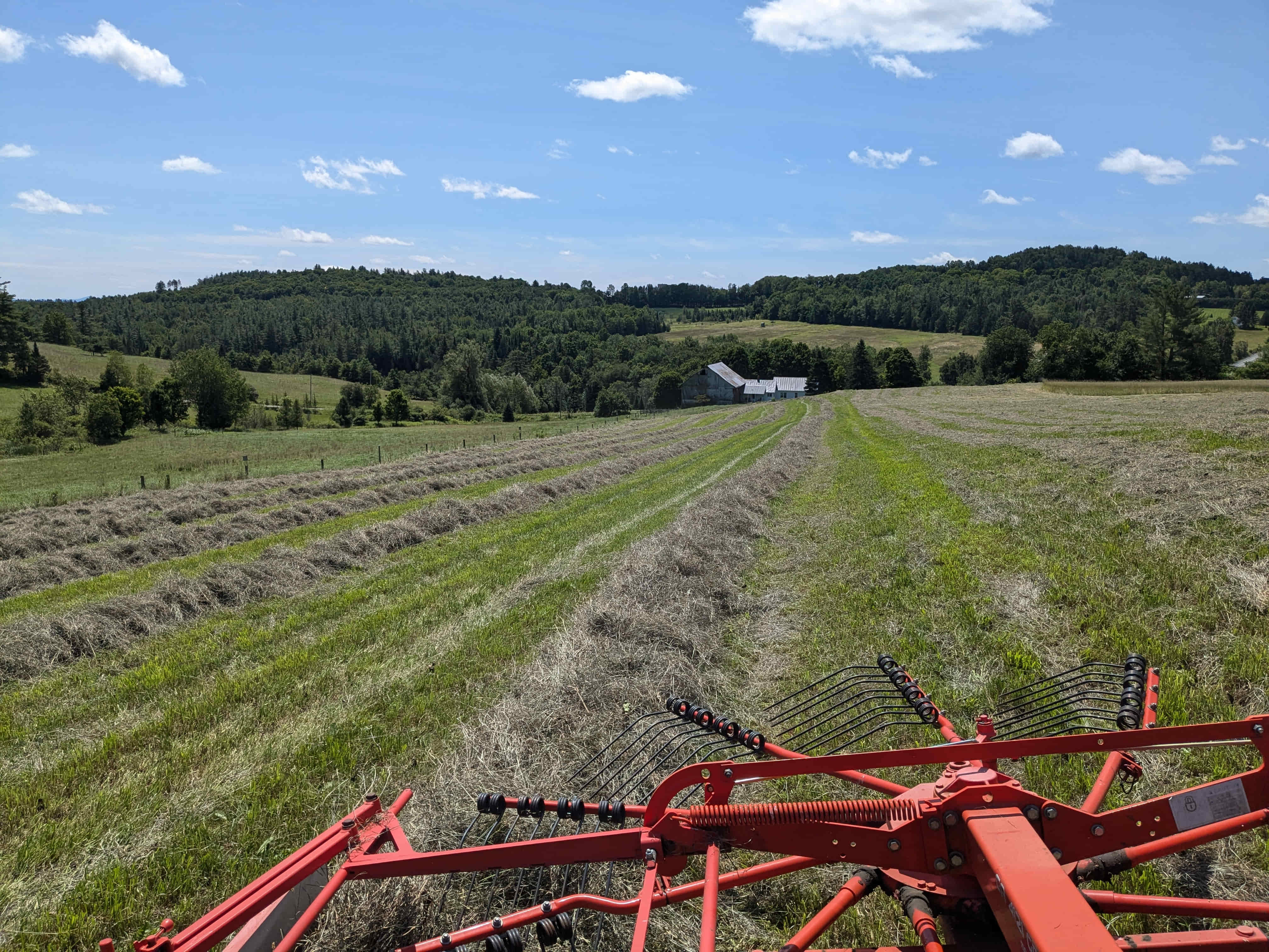 Sunday Bell Farm: Building Resilience on Steep Ground in a Changing Climate