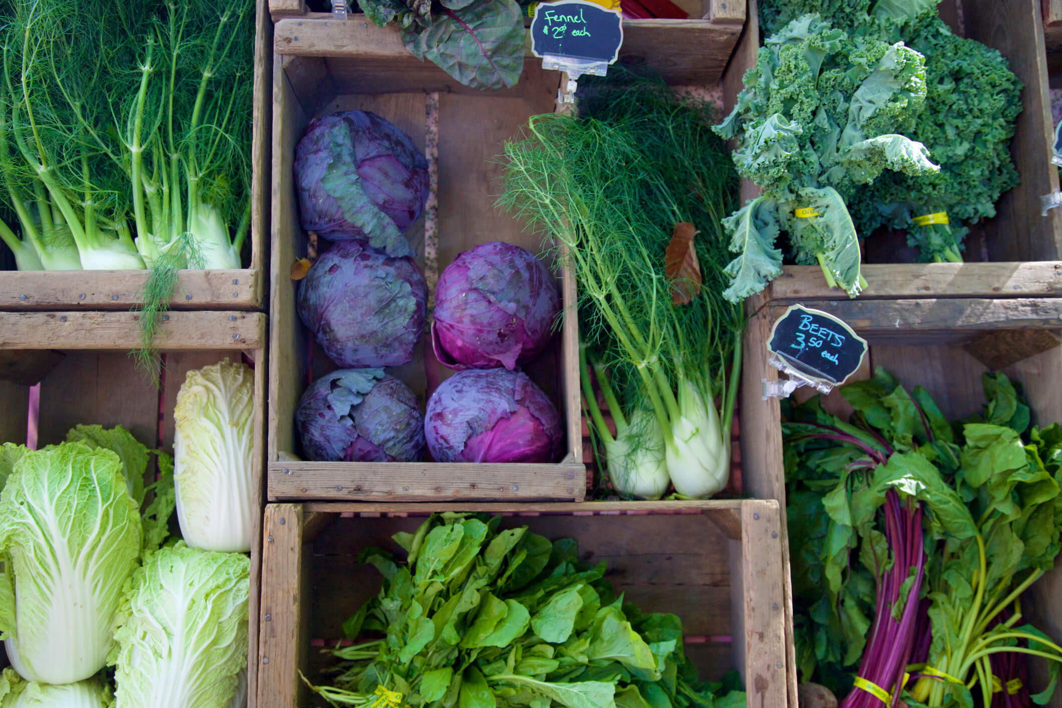 America's Farmers Market Celebration