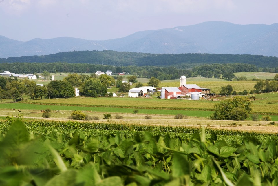 New Toolkit Helps Protect Virginia Farmland